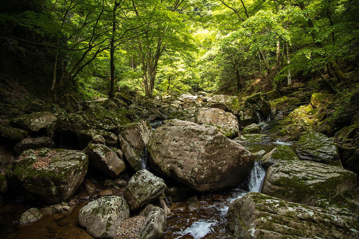 三重県赤目四十八滝