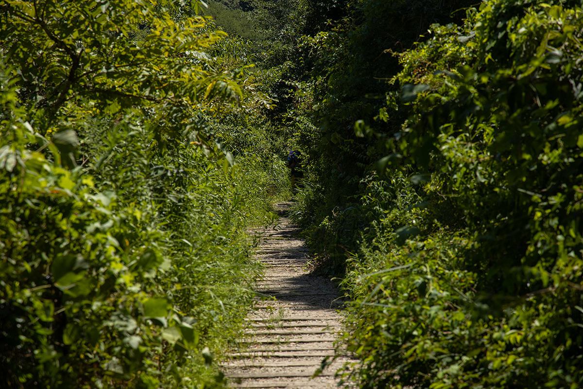 旧JR福知山線廃線敷