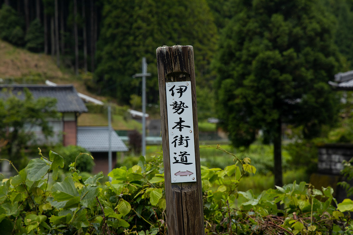 めだか街道