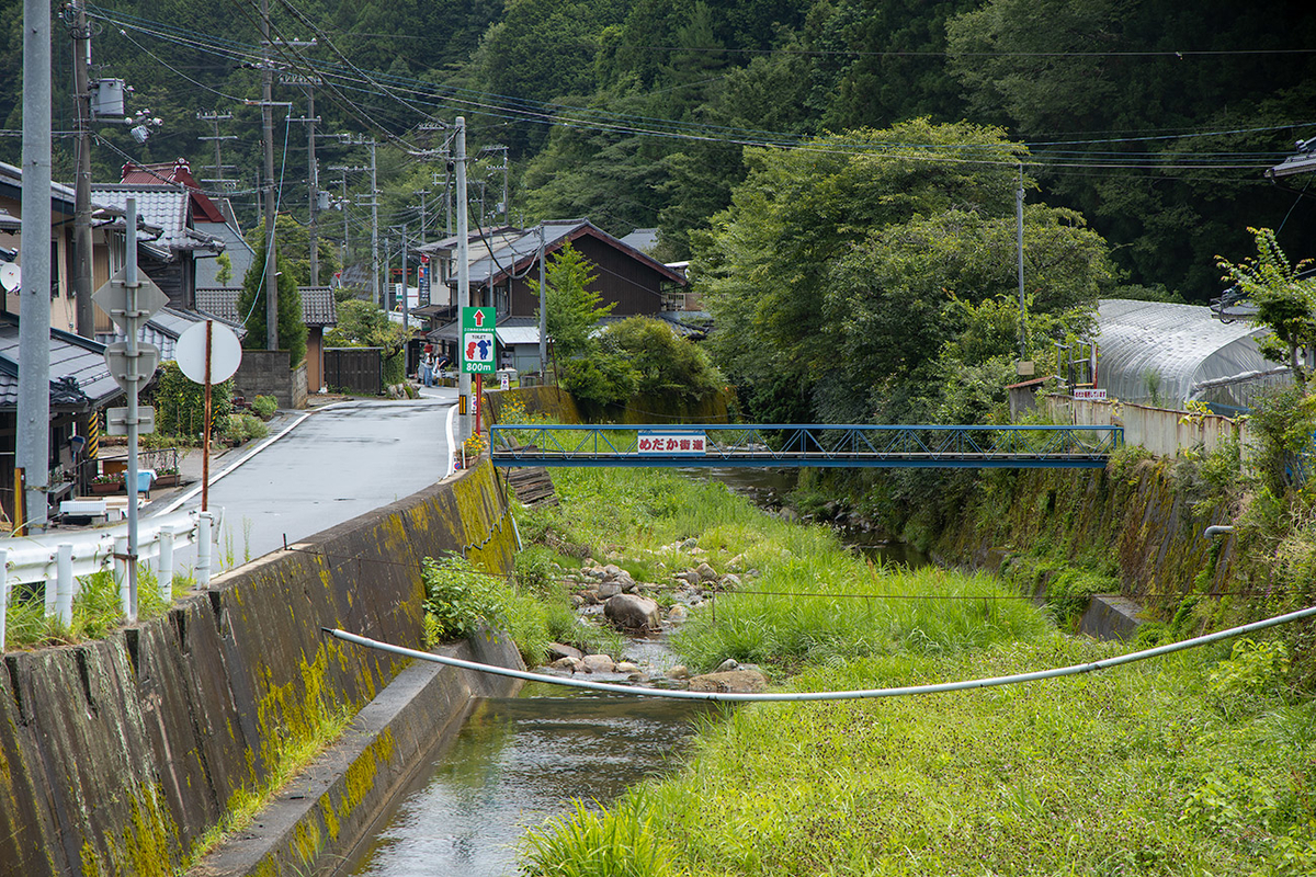 めだか街道