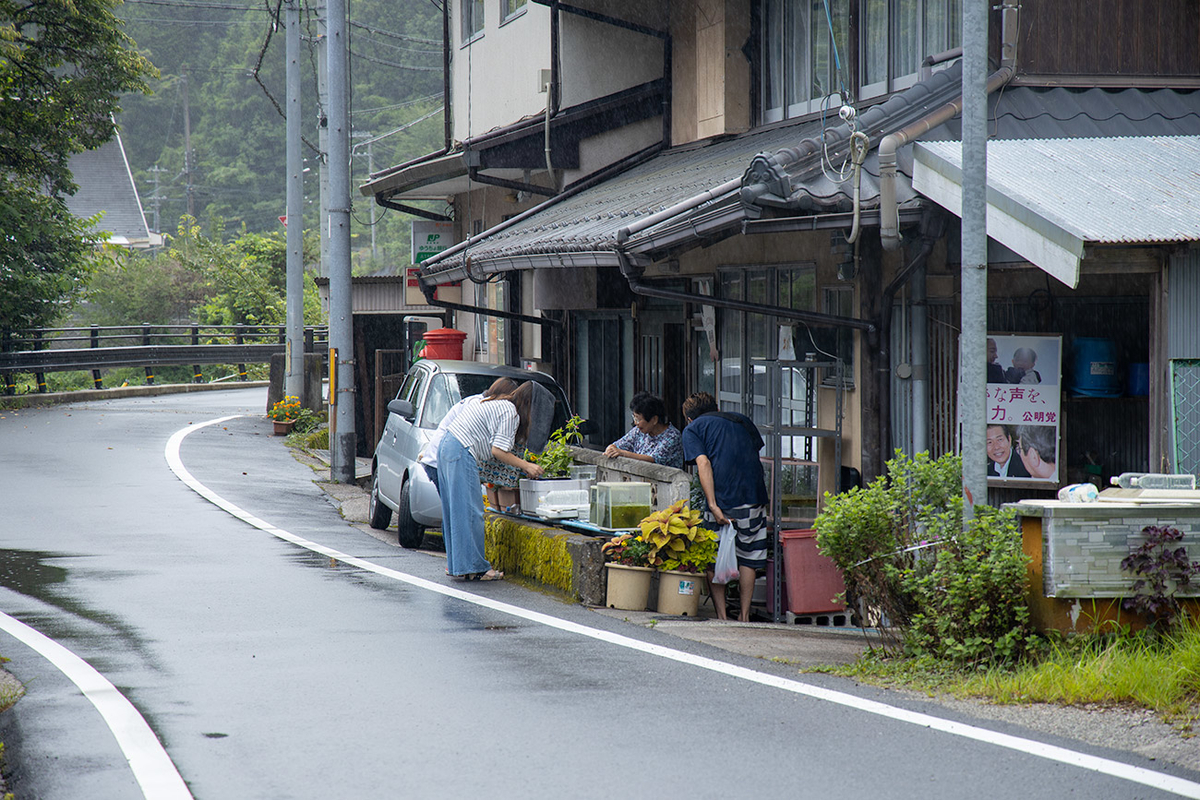 めだか街道