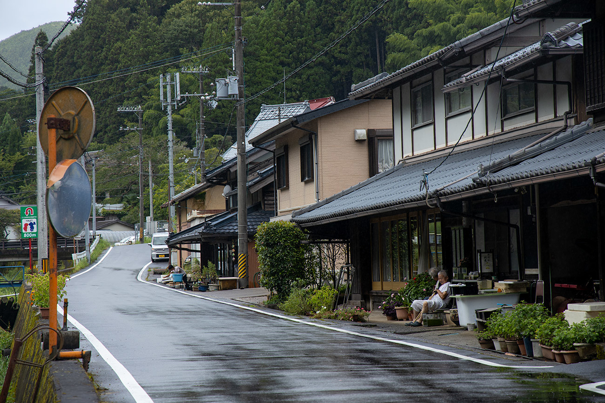 めだか街道