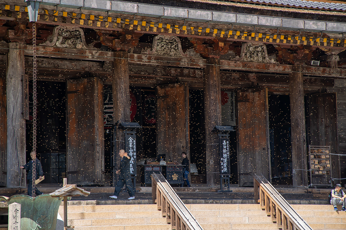 奈良県吉野金峯山寺蔵王堂