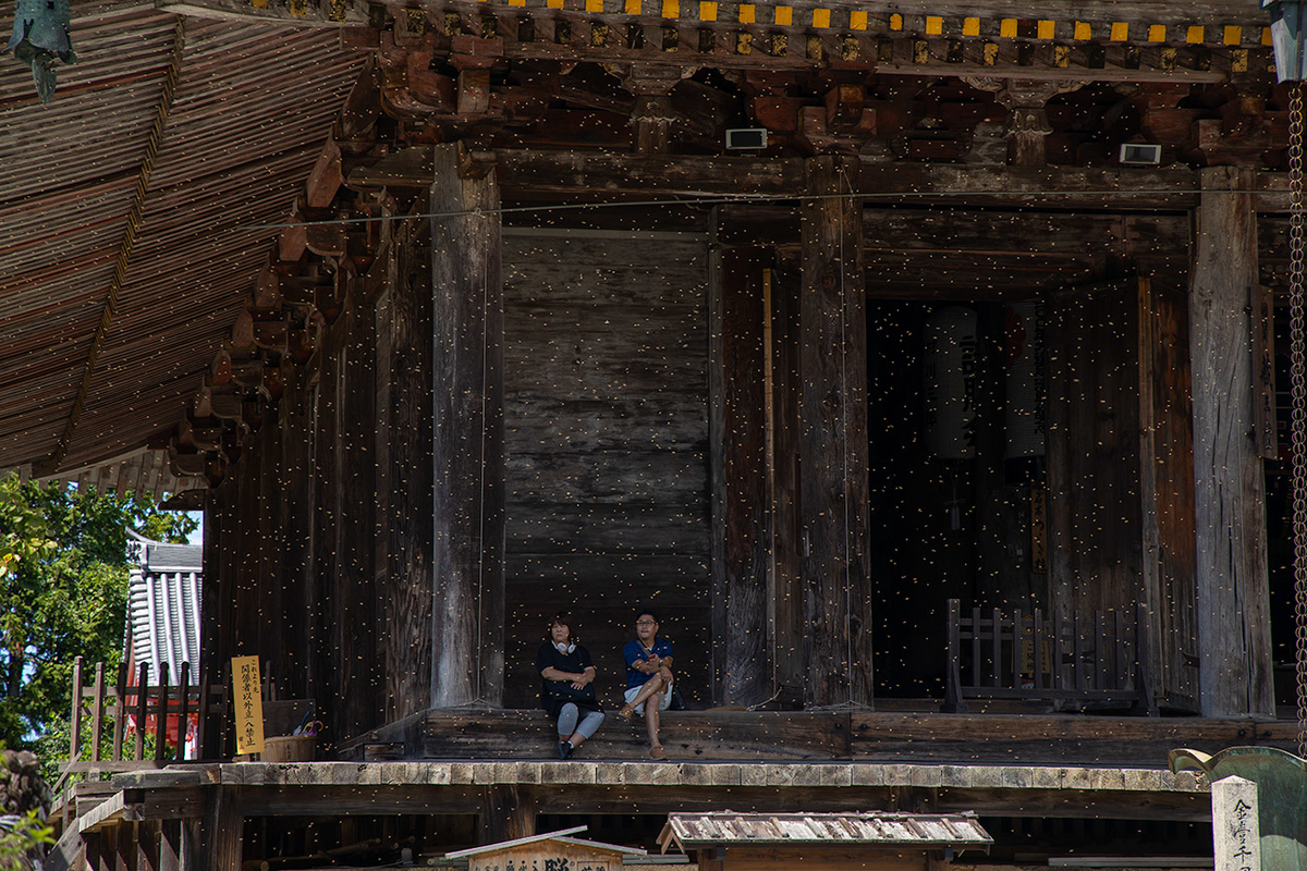 奈良県吉野金峯山寺蔵王堂