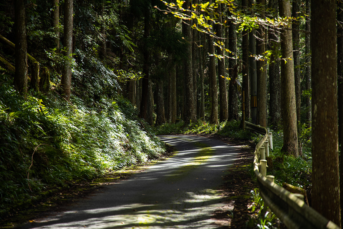 奈良県道257号線