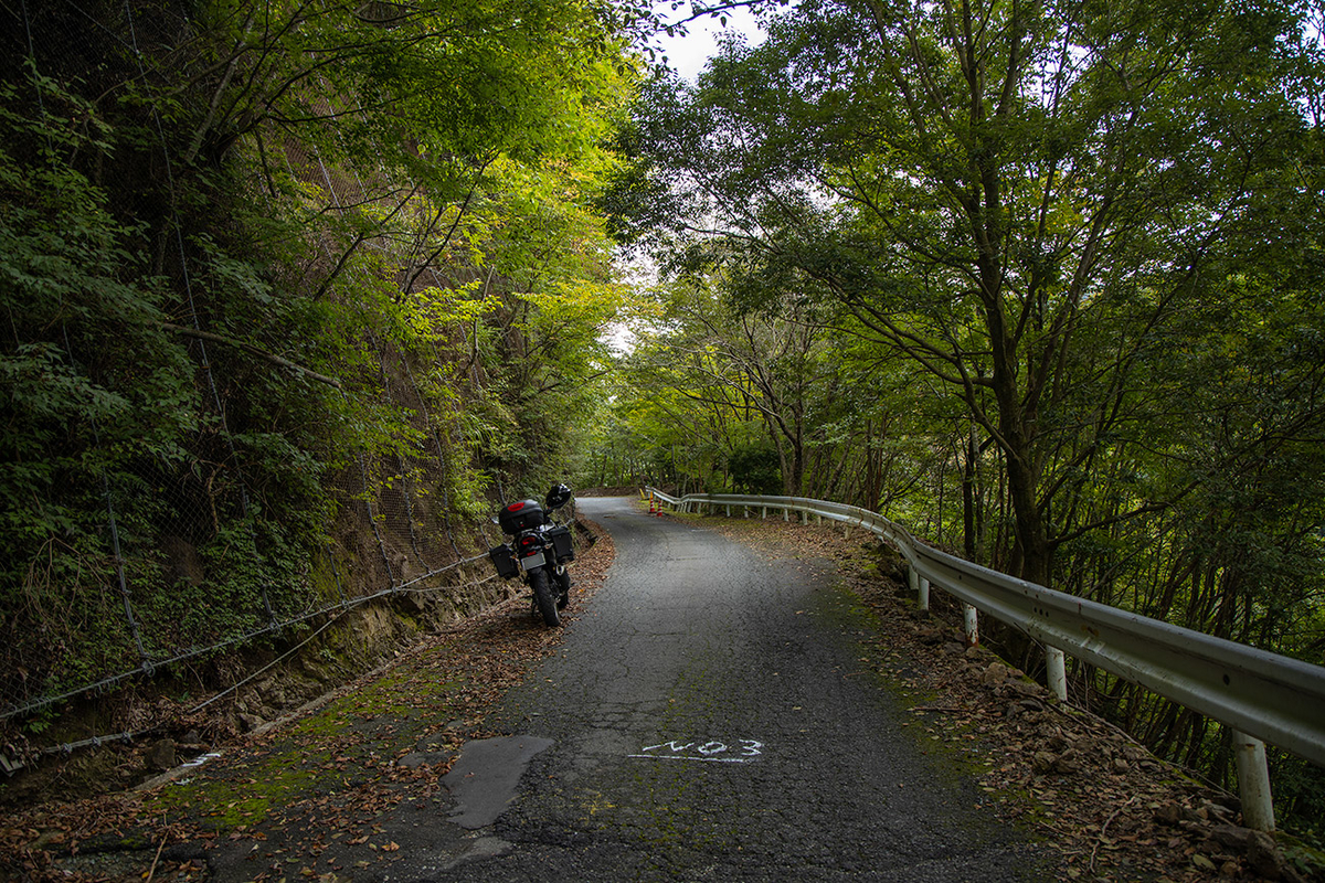 国道309号線