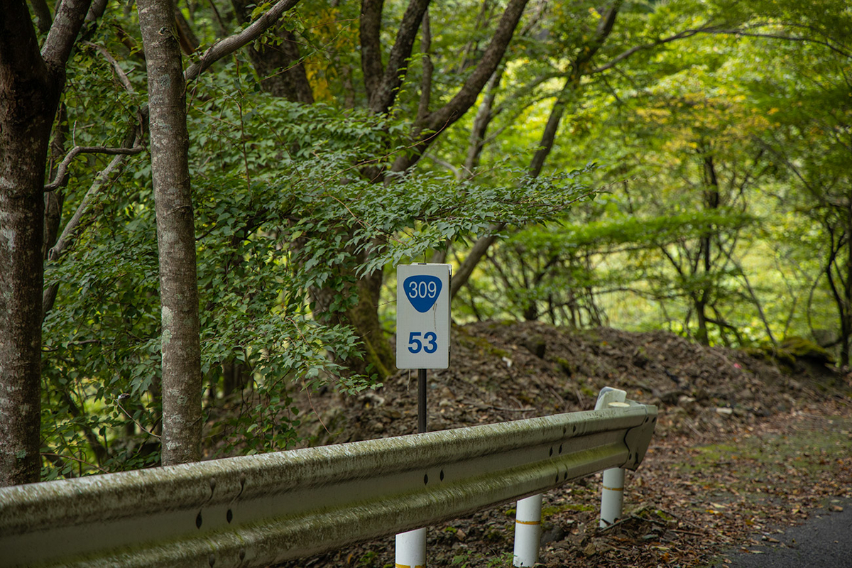 国道309号線