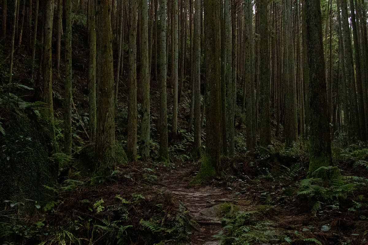 柳生天石立神社