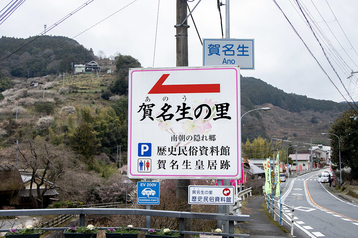 奈良県西吉野の賀名生（あのう）梅林