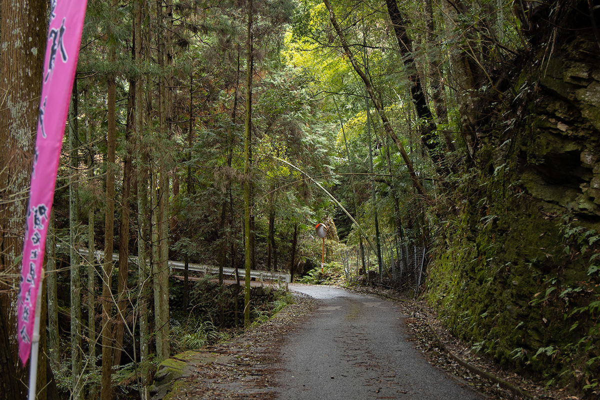 奈良県西吉野の賀名生（あのう）梅林