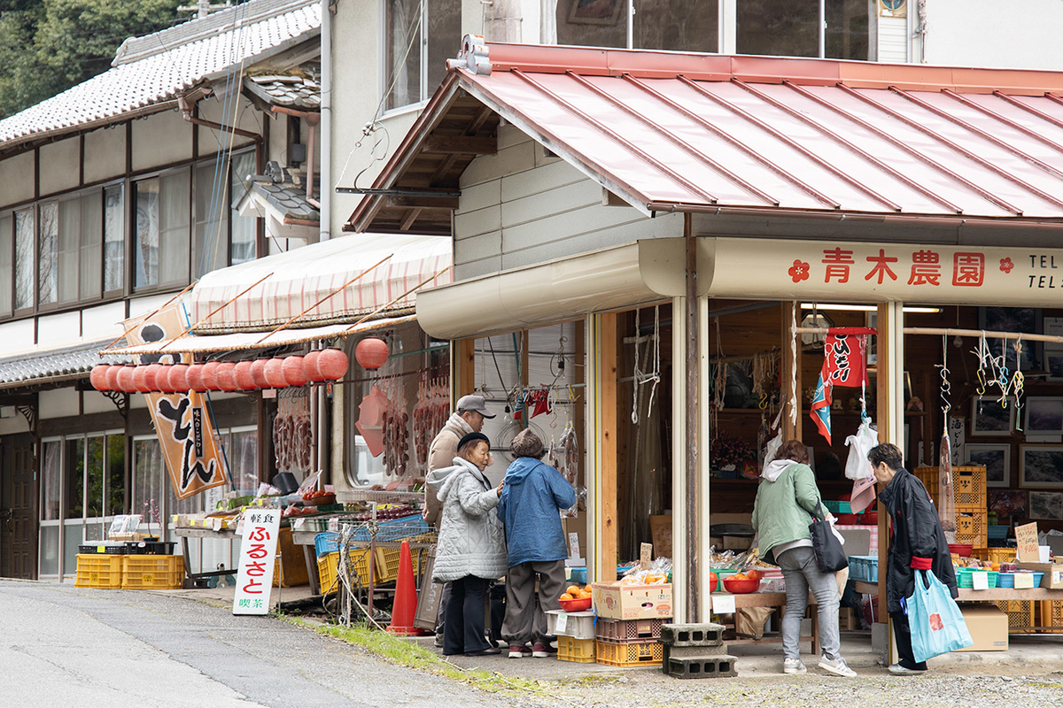 奈良県西吉野の賀名生（あのう）梅林