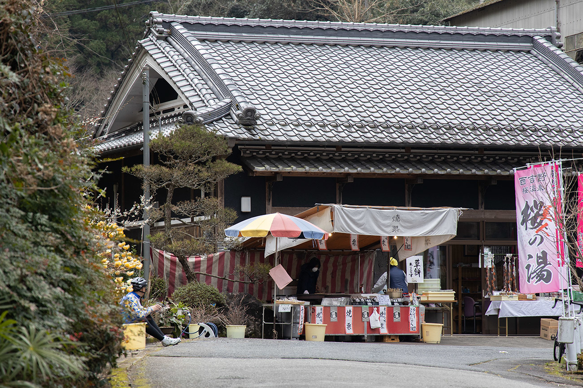 奈良県西吉野の賀名生（あのう）梅林