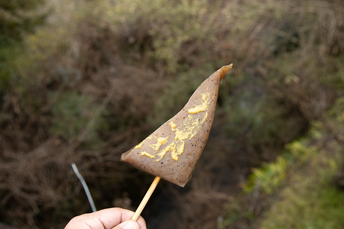 奈良県西吉野の賀名生（あのう）梅林