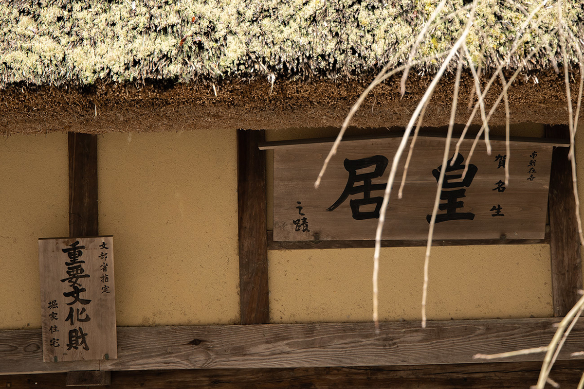 奈良県西吉野の賀名生（あのう）梅林