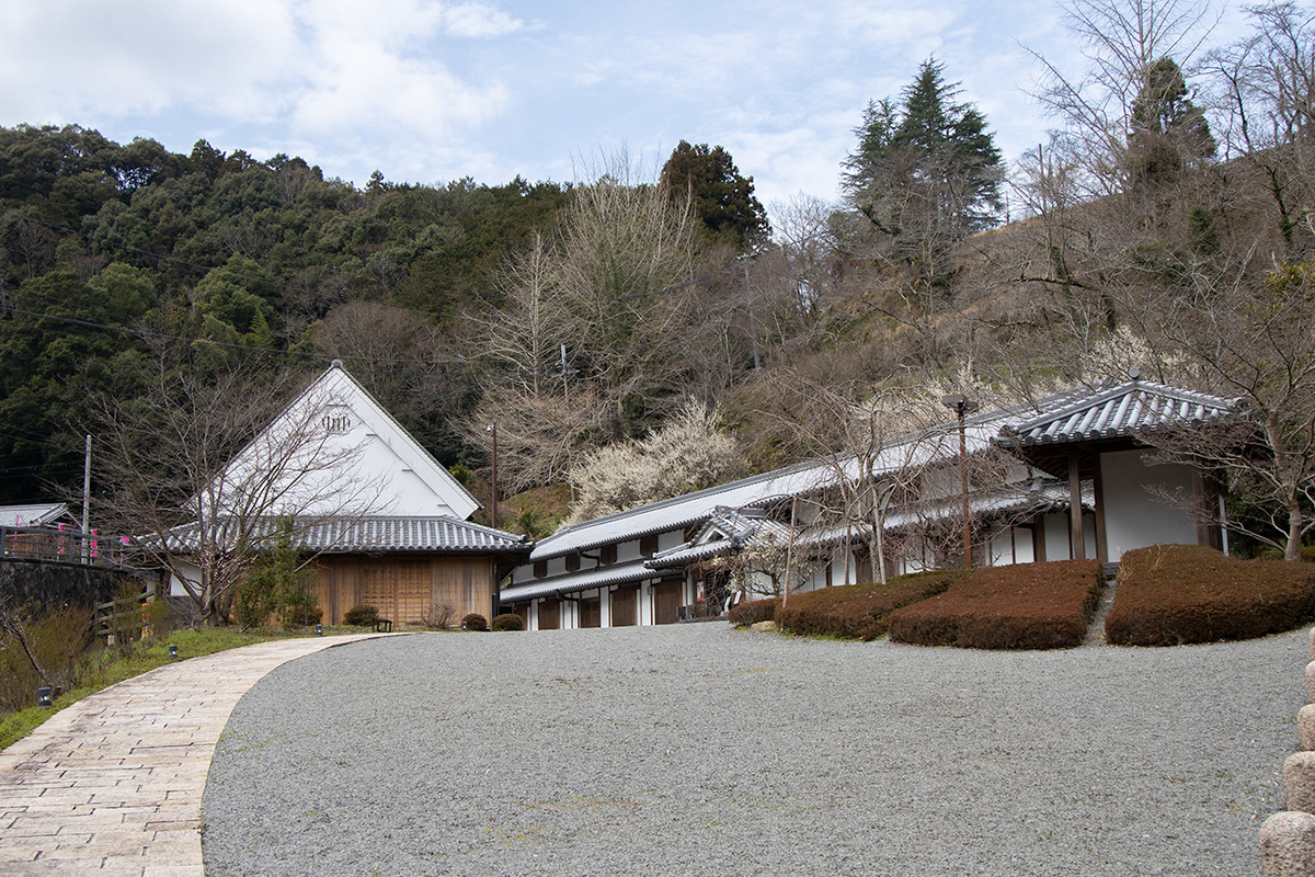 奈良県西吉野の賀名生（あのう）梅林