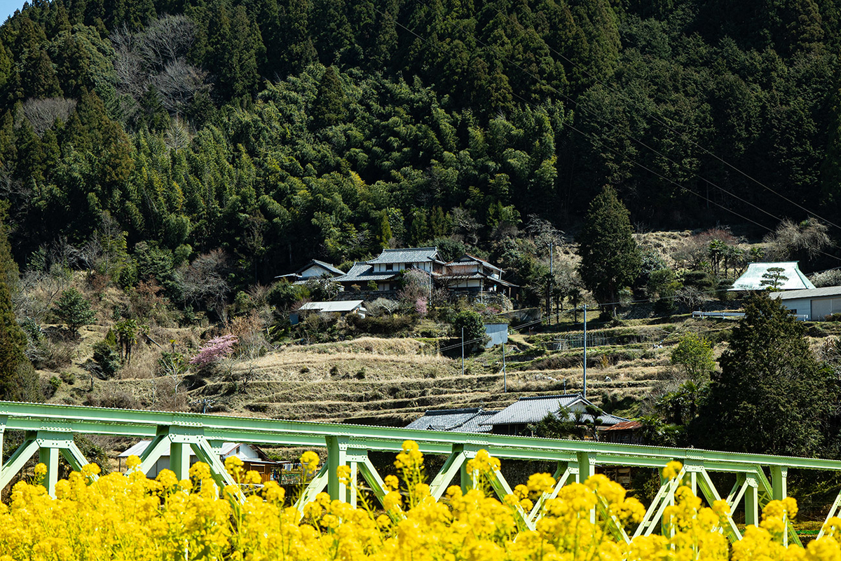 f:id:kumakumakoara:20200320205358j:plain