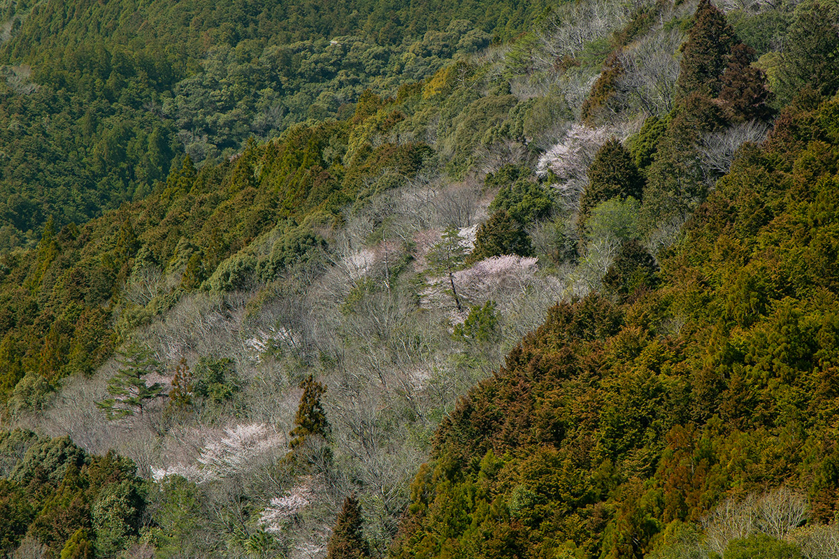 瀞峡