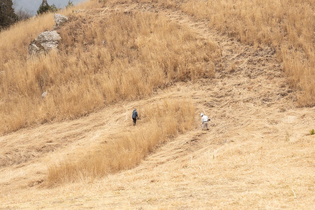 和歌山県生石高原