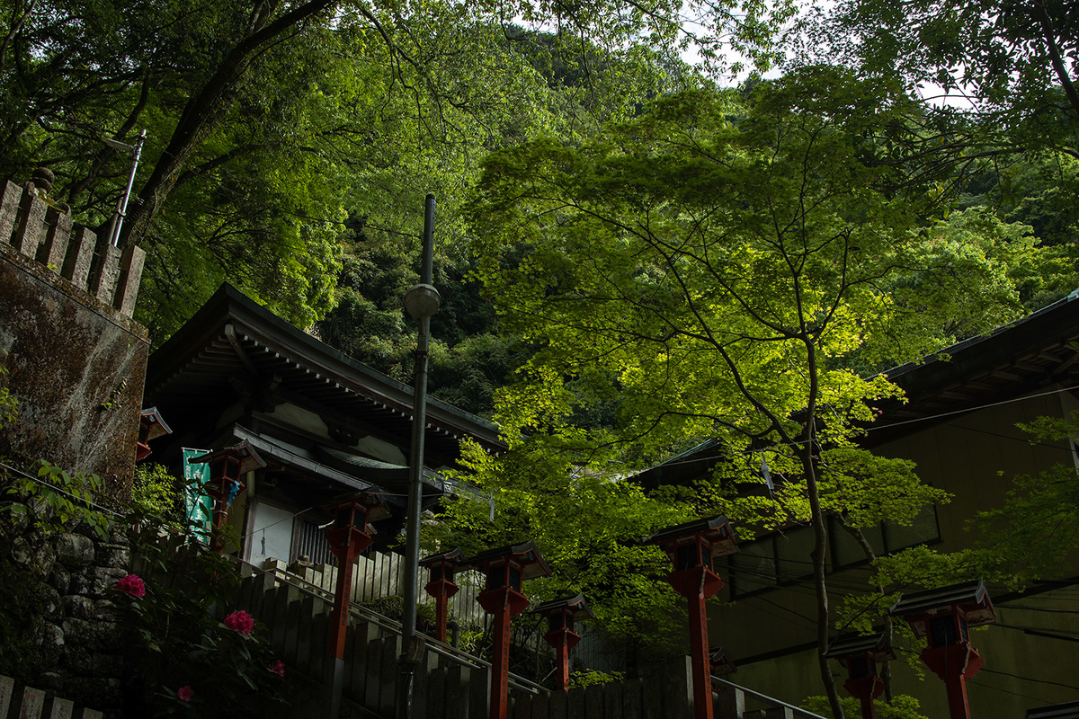 犬鳴山七宝滝寺