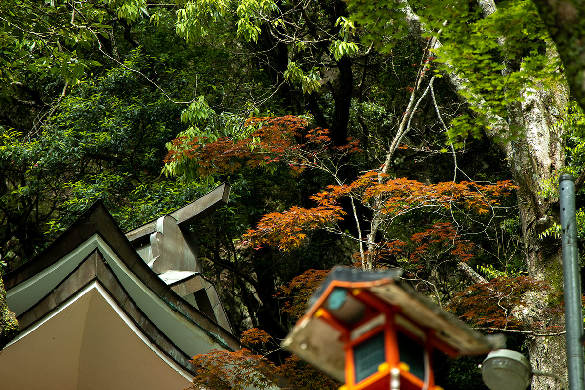 犬鳴山七宝滝寺