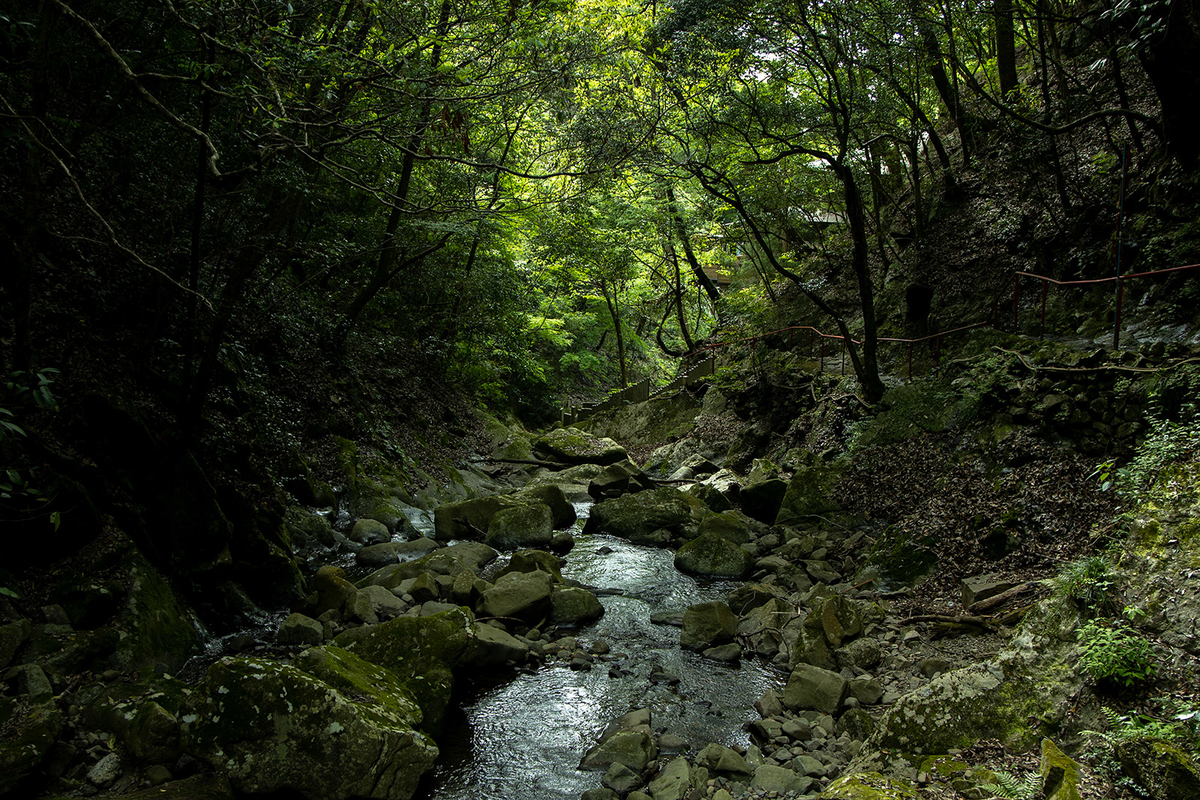 犬鳴山七宝滝寺