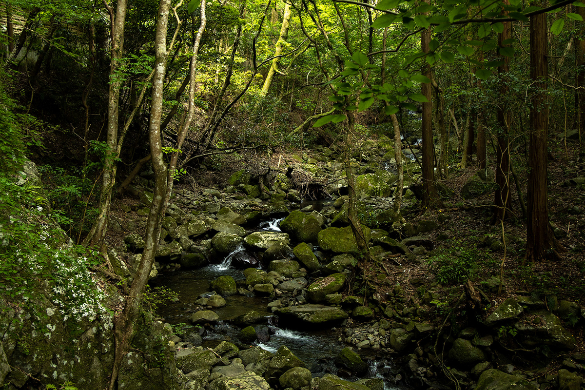 犬鳴山七宝滝寺