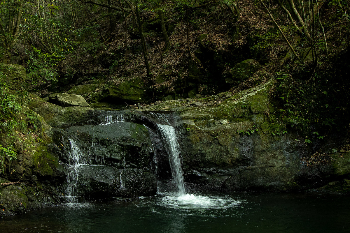 犬鳴山七宝滝寺