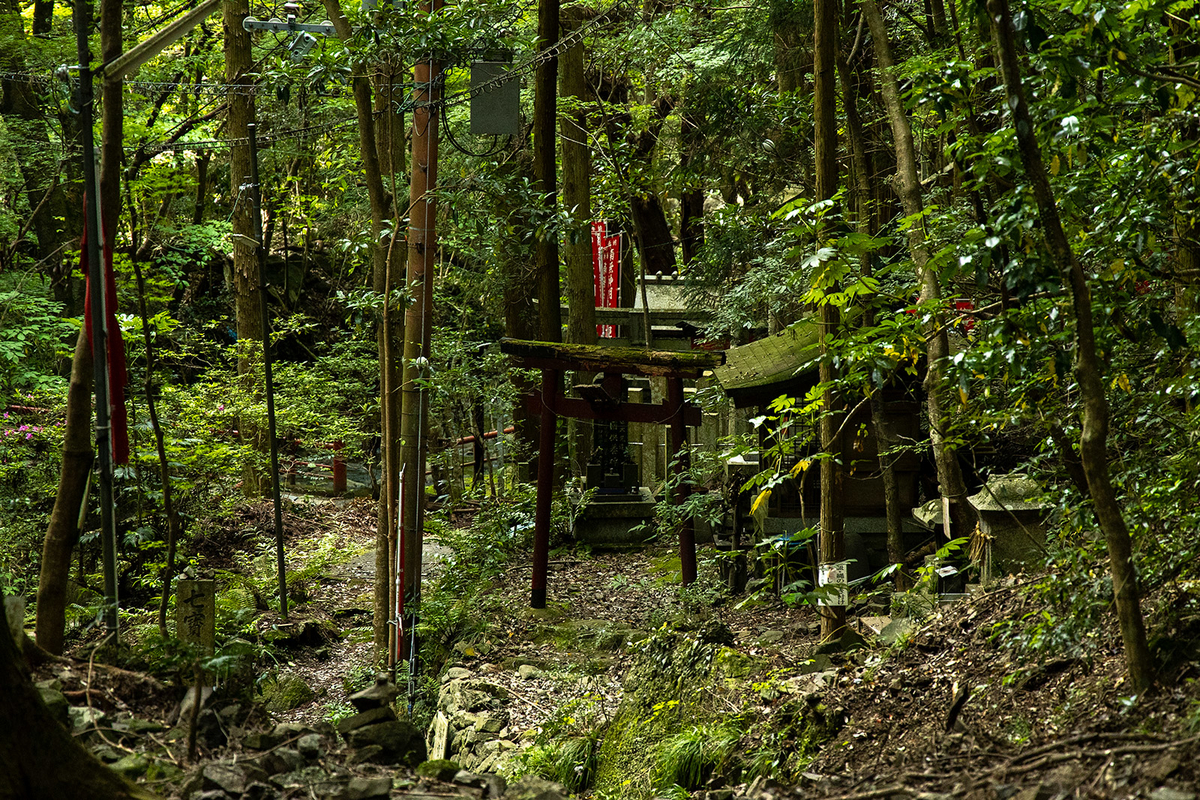 犬鳴山七宝滝寺