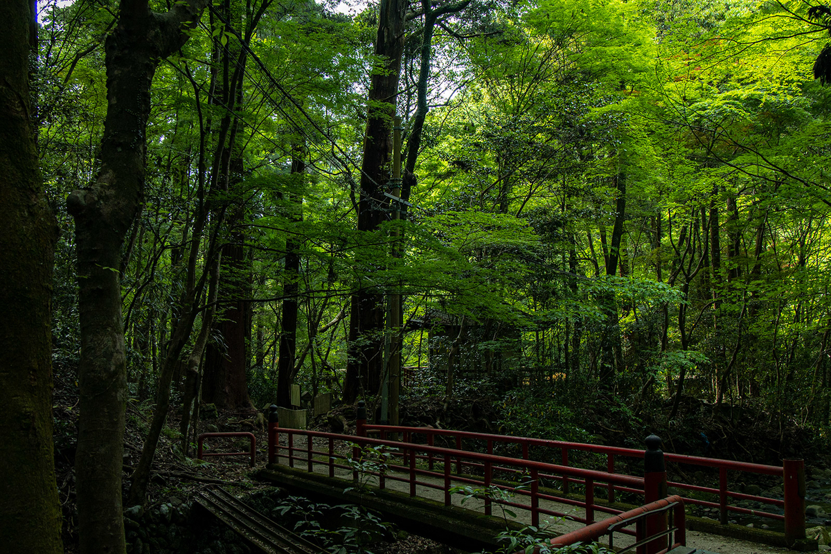 犬鳴山七宝滝寺