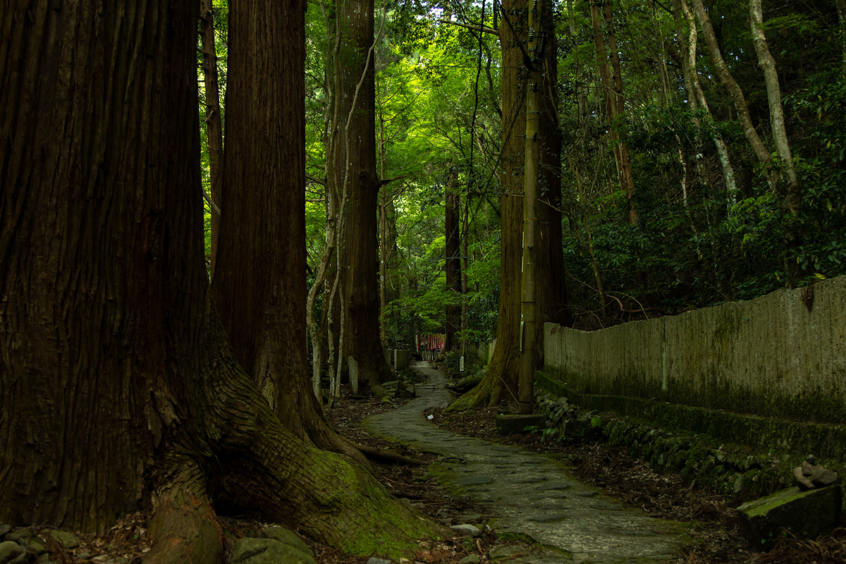 犬鳴山七宝滝寺