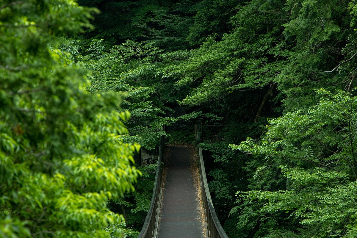 みたらい渓谷