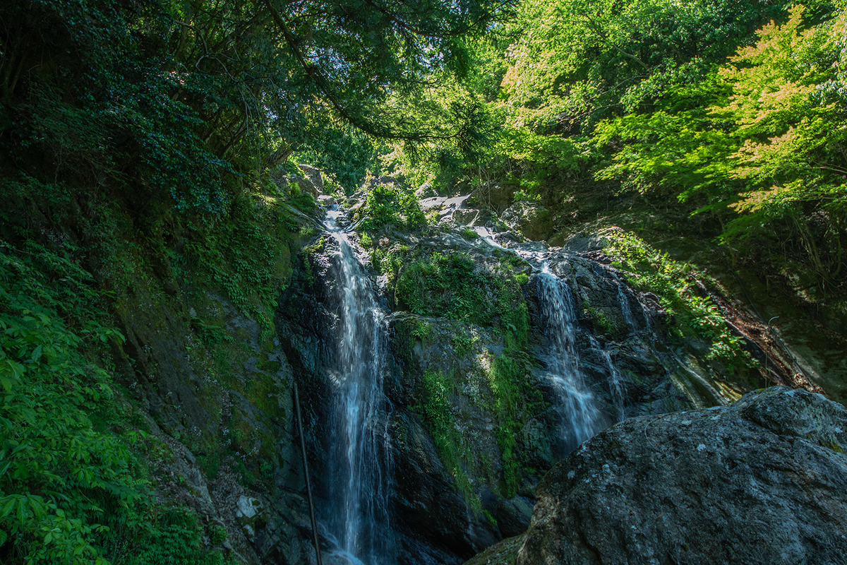 奈良県五條市西吉野瀧大権現の滝