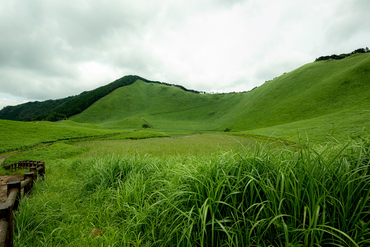 曽爾高原