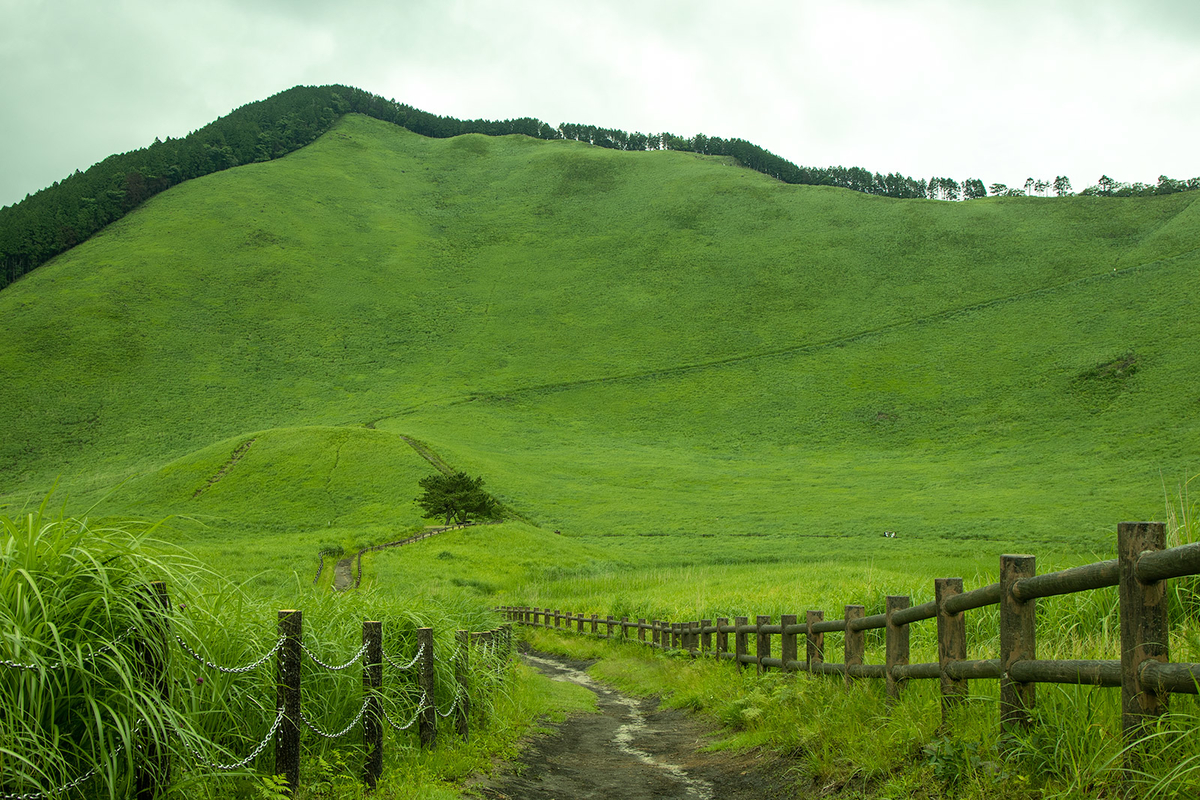 曽爾高原