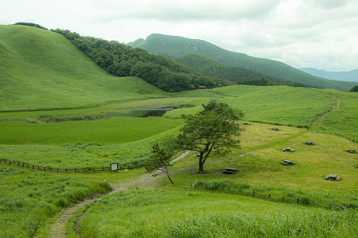 曽爾高原