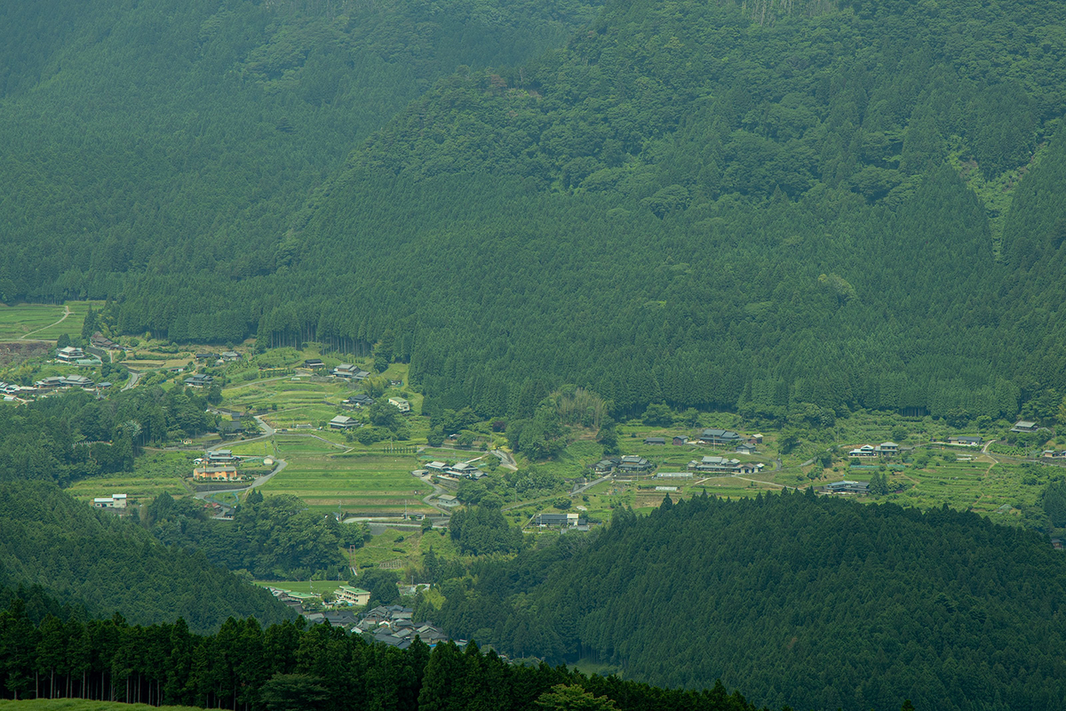 曽爾高原