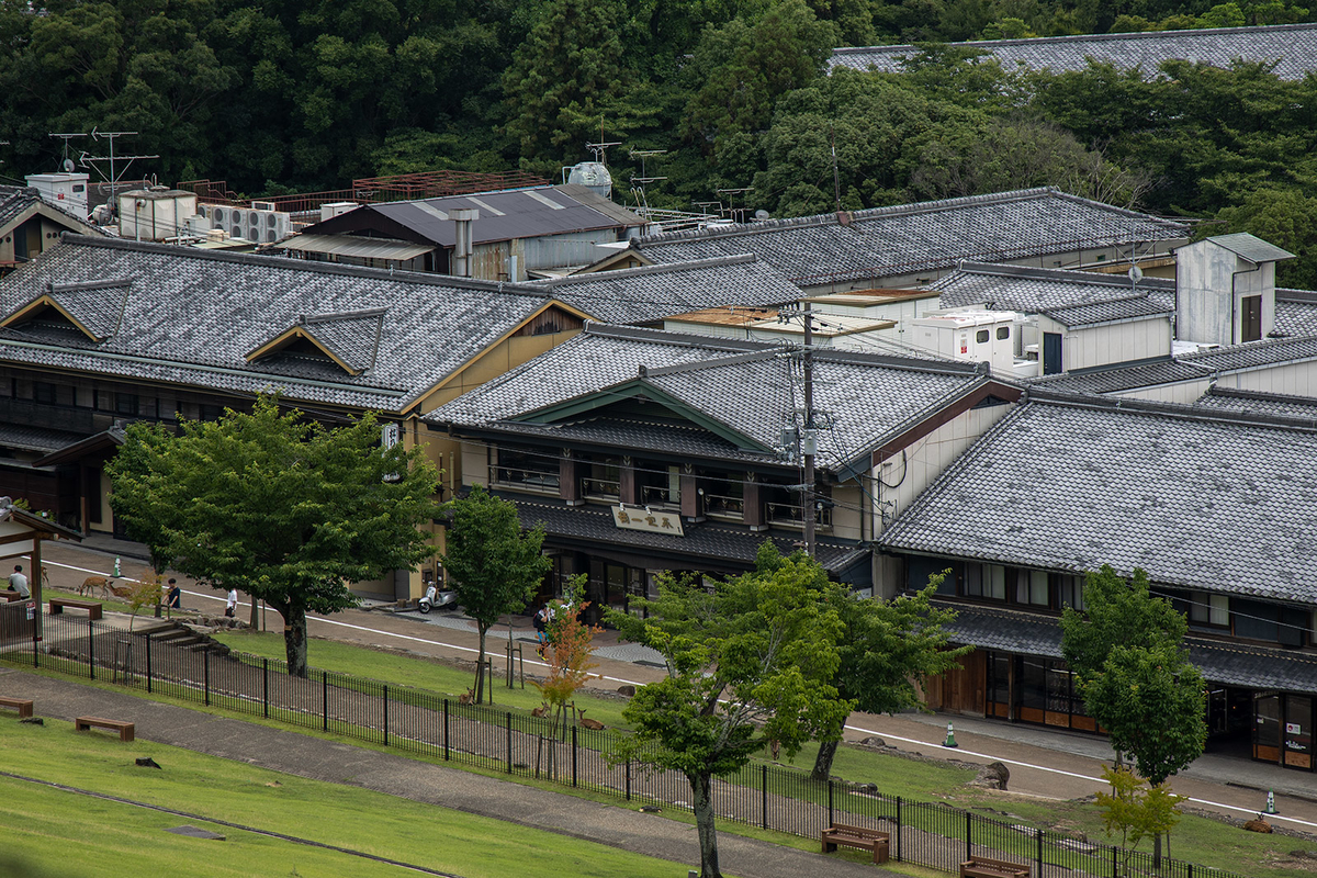 奈良公園