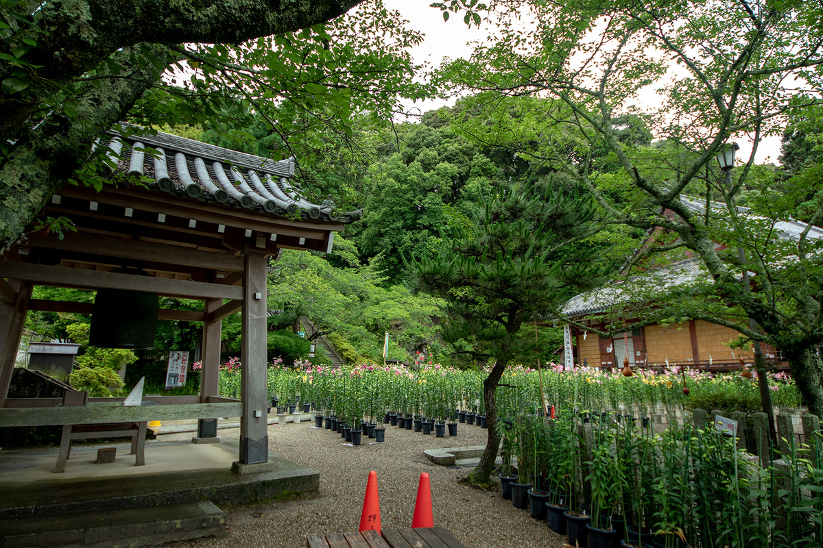 大和松尾寺