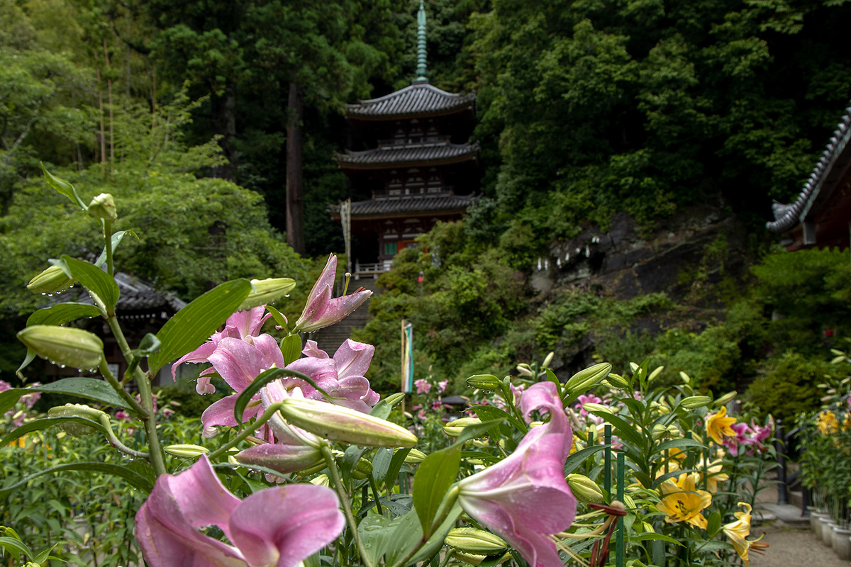 大和松尾寺