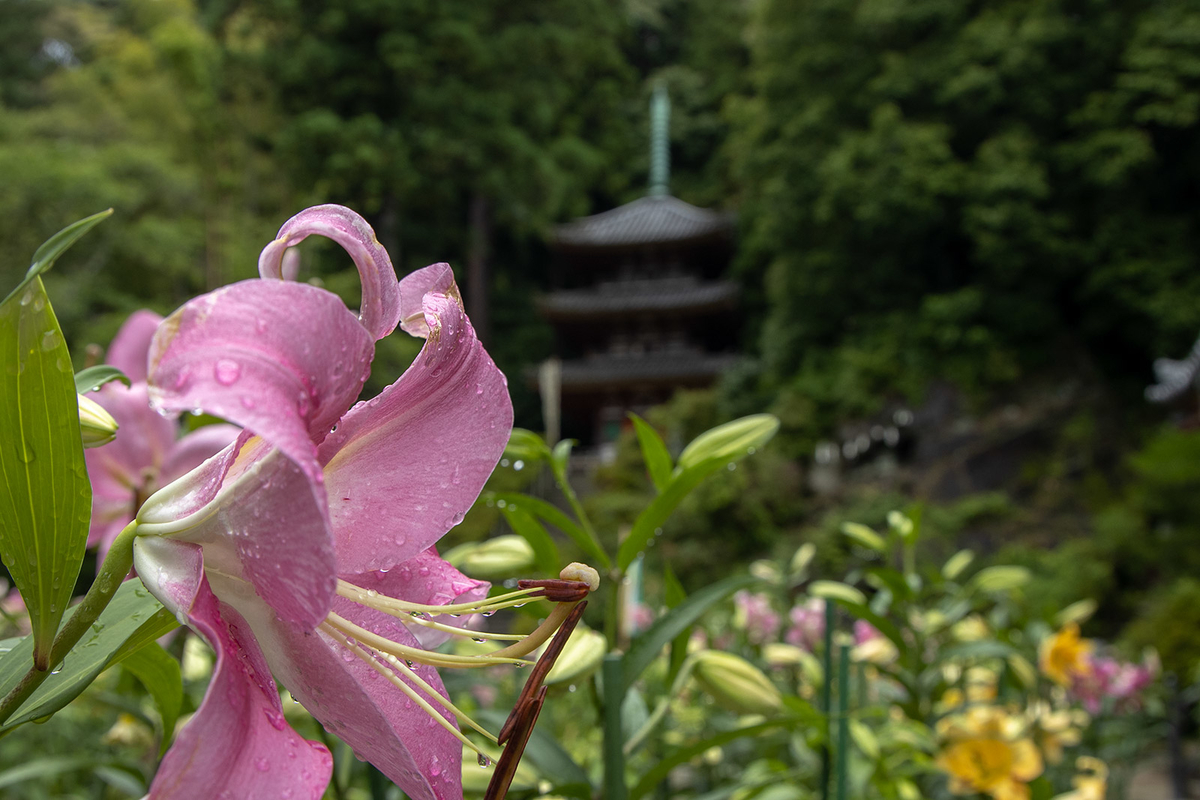 大和松尾寺