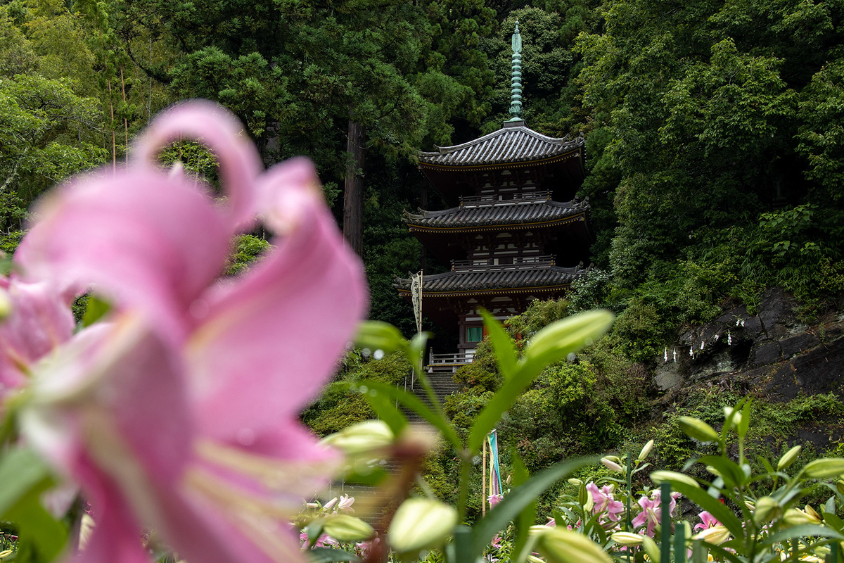 大和松尾寺