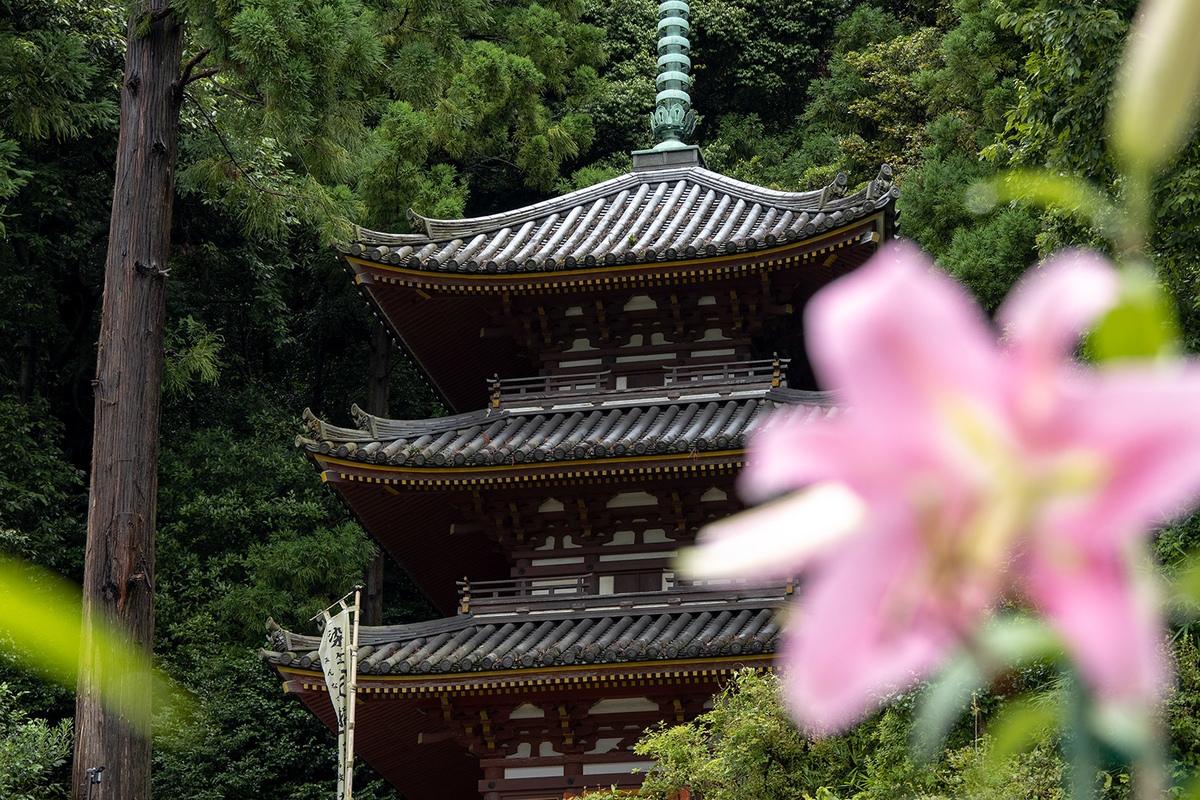 大和松尾寺