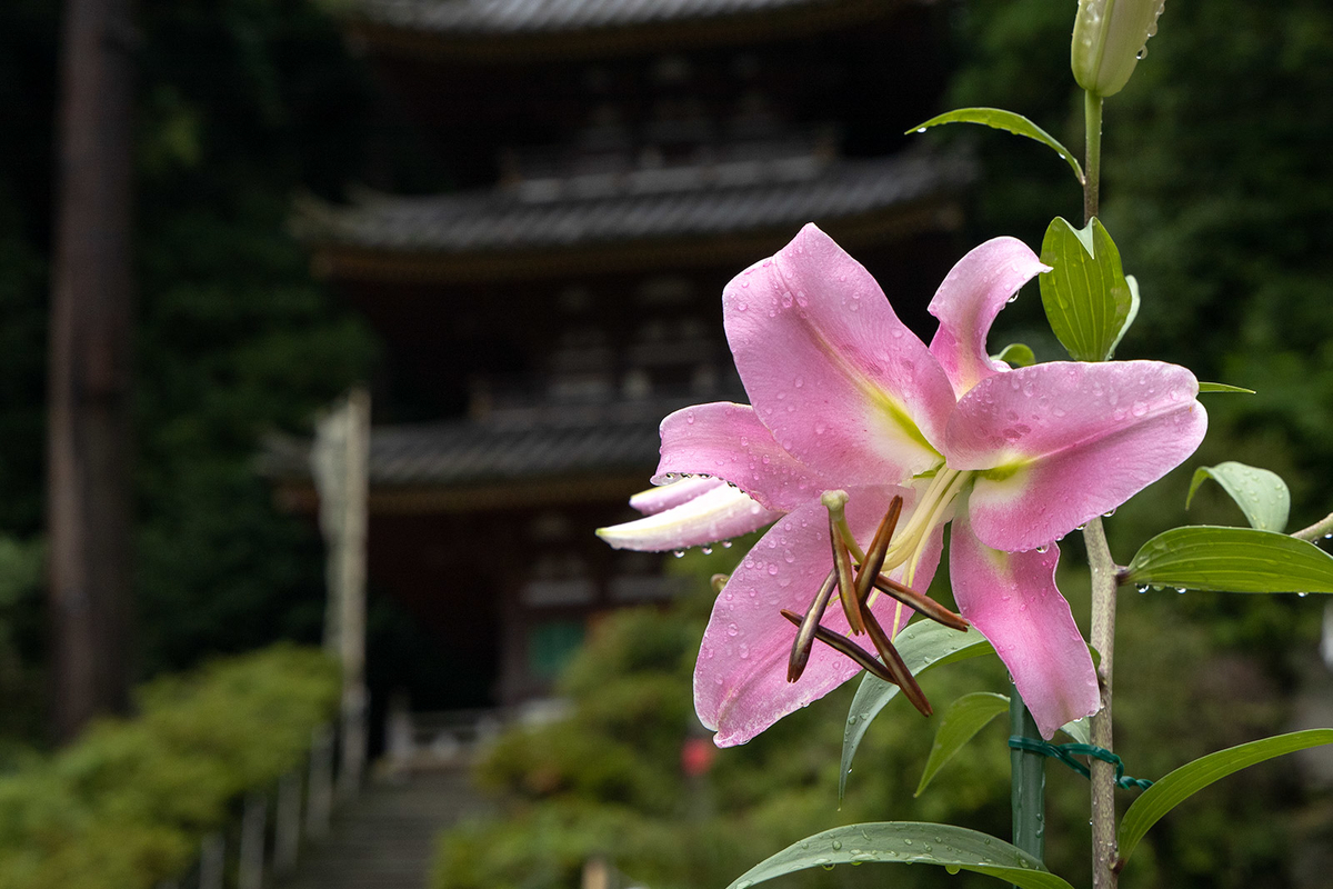 大和松尾寺