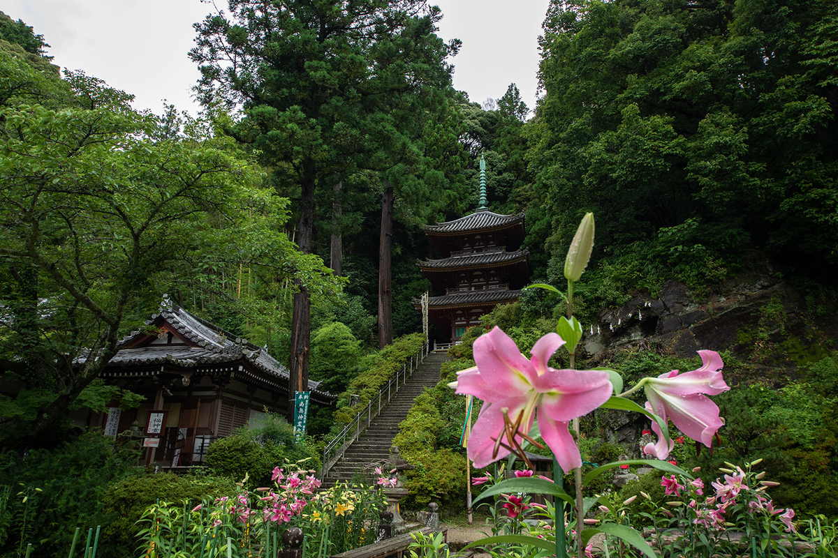 大和松尾寺