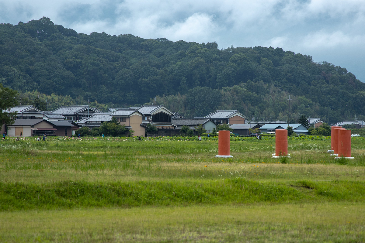 奈良県藤原宮跡