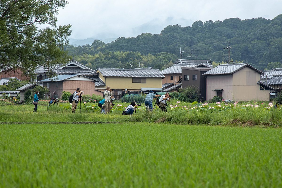 藤原宮跡