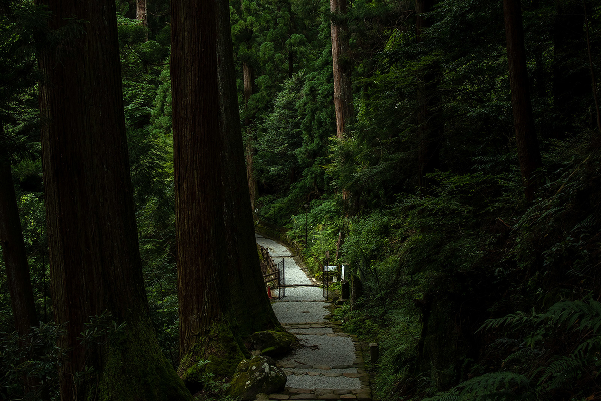 奈良県室生寺