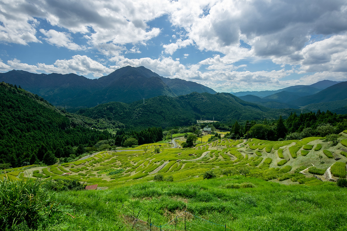 丸山千枚田