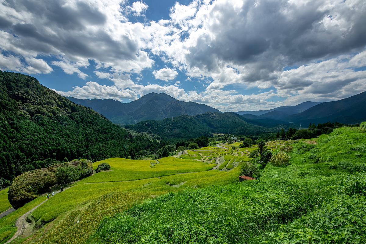 丸山千枚田