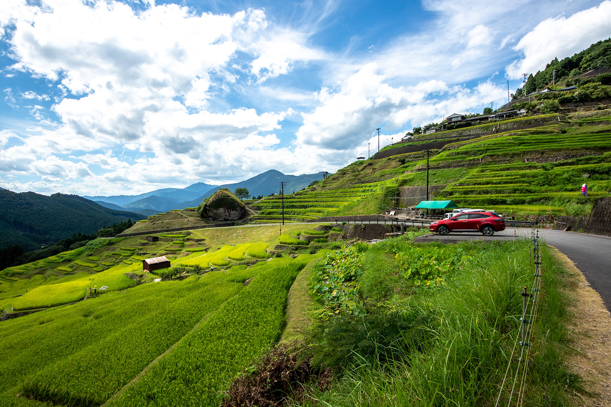 丸山千枚田